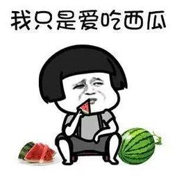 娱乐圈什么真瓜可以吃