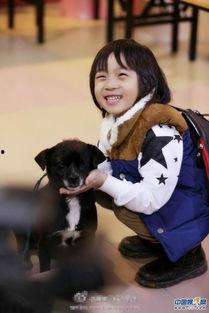 娱乐吃瓜酱岳父